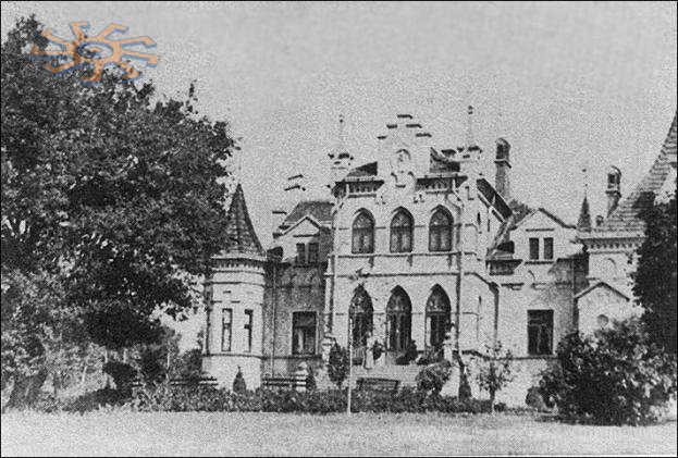 Вид палацу в Трибухівцях. Фото - до 1914 р.