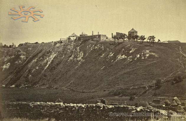 Неймовірне фото: і замок зі стінами, що зараз не існують, і хати, криті соломою. До 1910 р.