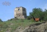 A castle ruins in the village of Vysichka in Western Ukraine