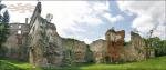 Zamek Sieniawskich (w ruinach) w Brzeżanach