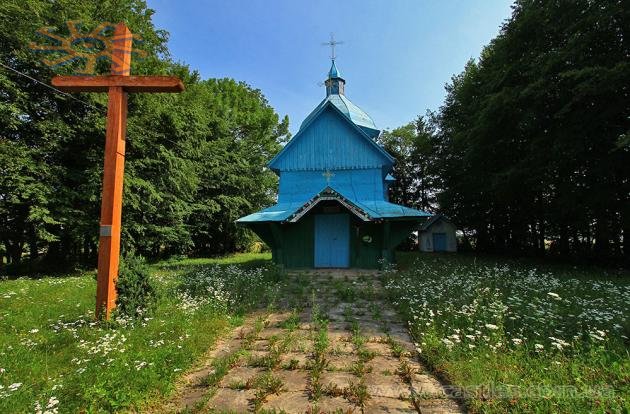 Біля старої (умовно дерев'яної) церкви в Майдані ростуть гриби. Їстивні.