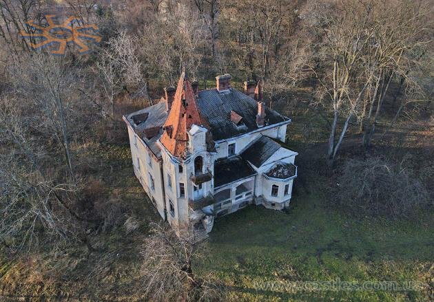 Колишній палац Козловських, колишній корпус Нижанкоцький професійний ліцей. 9 січня 2021 року. Вид з квадрокоптера.