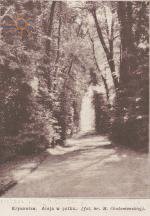 Алея у парку.  Wies Ilustrowana'10 1912