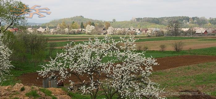 Панорама села Банилів-Підгірний. Квітень-2008.