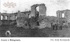 Було так (фотографії замку і костелу в Гологорах на поч. ХХст.)