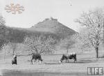 Замкова гора з розвалинами твердині в місті Хуст. Архів журналу Life, 1930-ті рр.