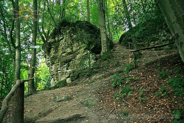 Скельний (печерний) монастир - недалеко від монастиря цілком традиційного. Крехів, вересень 2009 р.