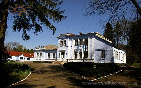 Палац в містечку Куявах - теперішньому селі Соснівці.