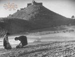 Замкова гора з розвалинами твердині в місті Хуст. Архів журналу Life, 1930-ті рр.
