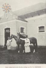 Коні графа Собаньського. Wies Ilustrowana № 1 за 1912 р.