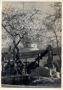 Цвинтар Орлят, фото видатного майстра 1930-х рр. Я.Булгака.