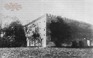 замок в Отрокові. Фото до 1914 р.