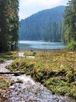 Siněvir či Sinovír (Synevyr) je jezero na Ukrajině