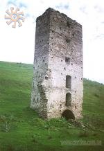 Єдина вціліла вежа Раковецького замку над Дністром