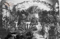 Зимовий сад, 1880р.