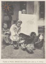 З журналу Wies Ilustrowana №4 за 1911 р.