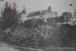 Вид замку в Завалові після 1915 р.
